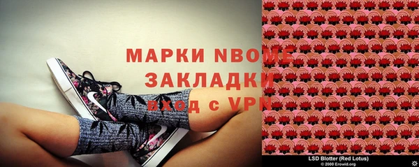 молекула духа Семикаракорск