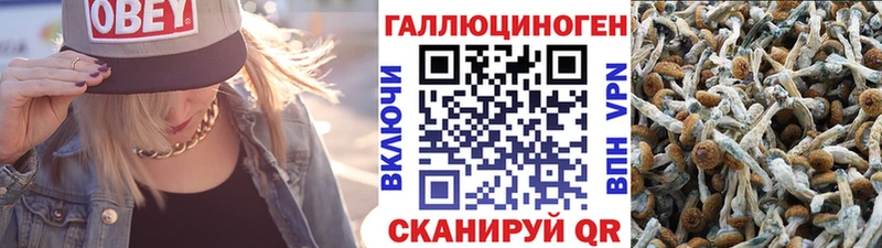 гидра ссылки  Сельцо  Псилоцибиновые грибы прущие грибы  купить наркотик 